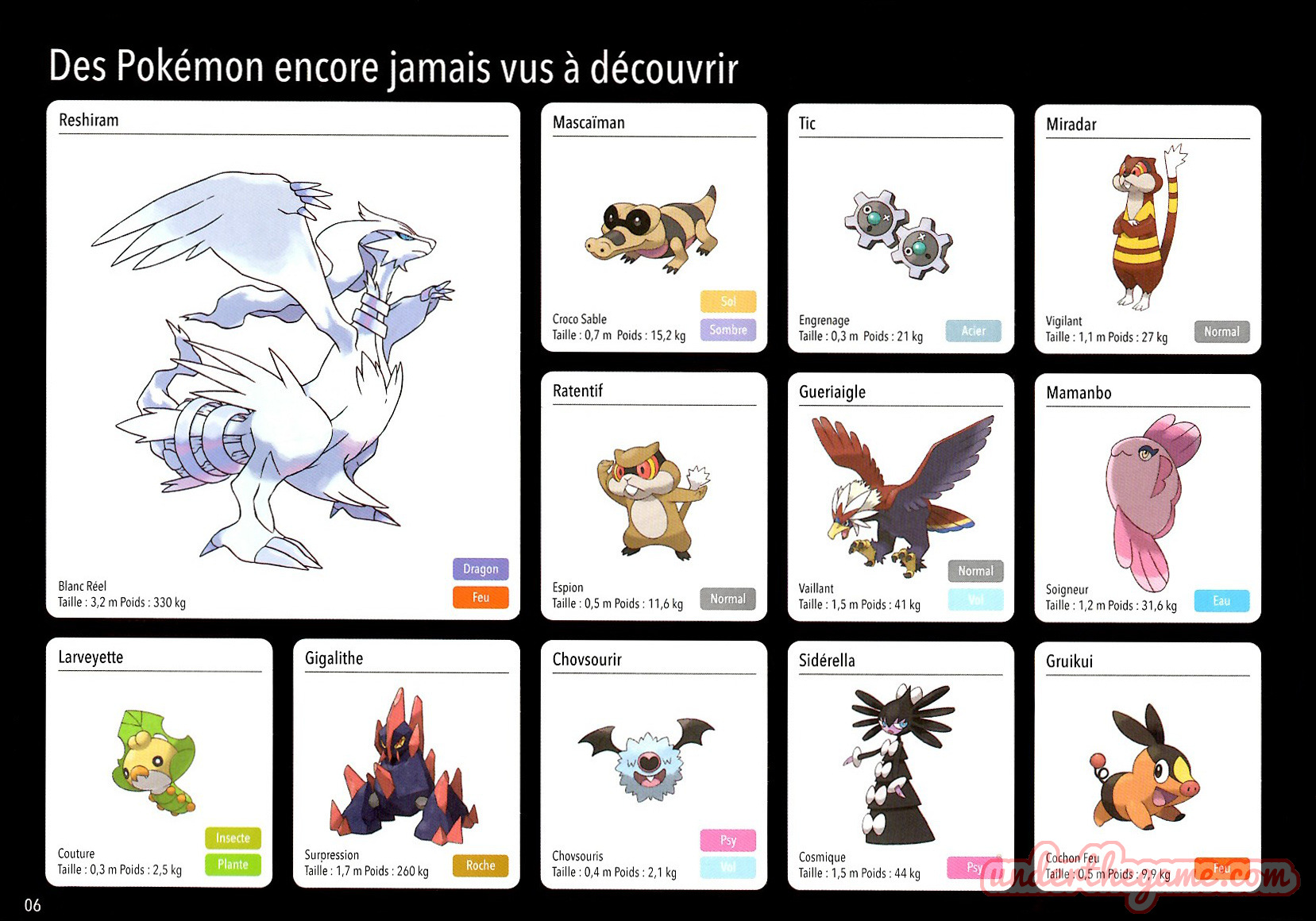 Brochure Pokémon versions Noire et Blanche – Nintendo DS – 2011 [VF